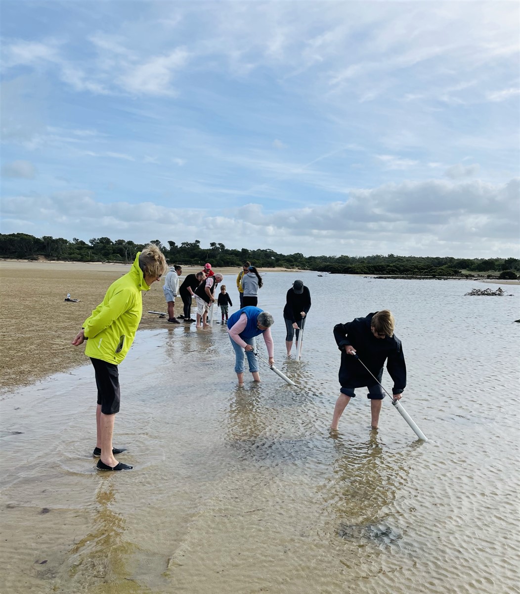 Pumping for Yabbies 14 - hard at work.jpg
